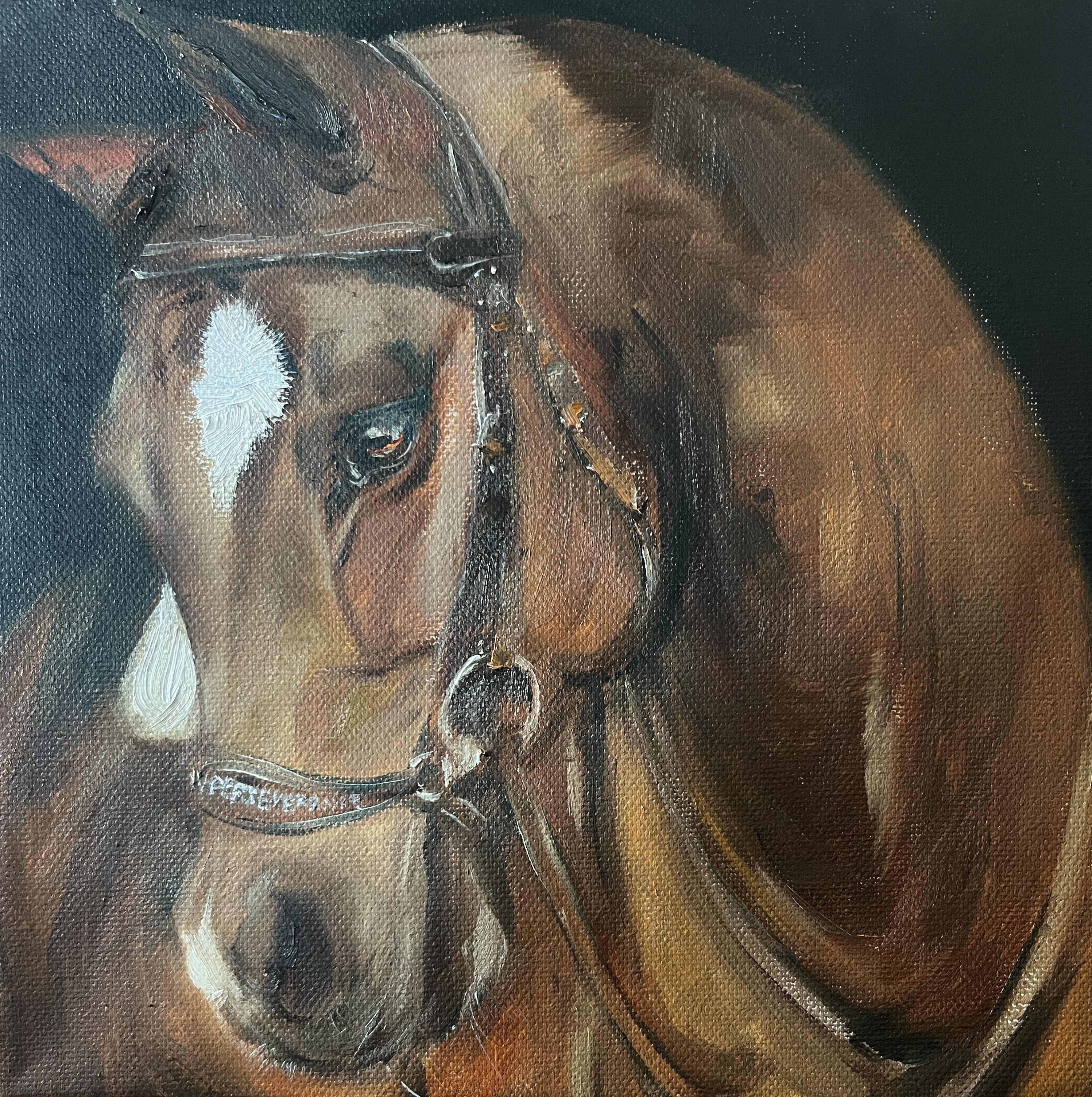 IV : PERSEVERANCE (끝까지)