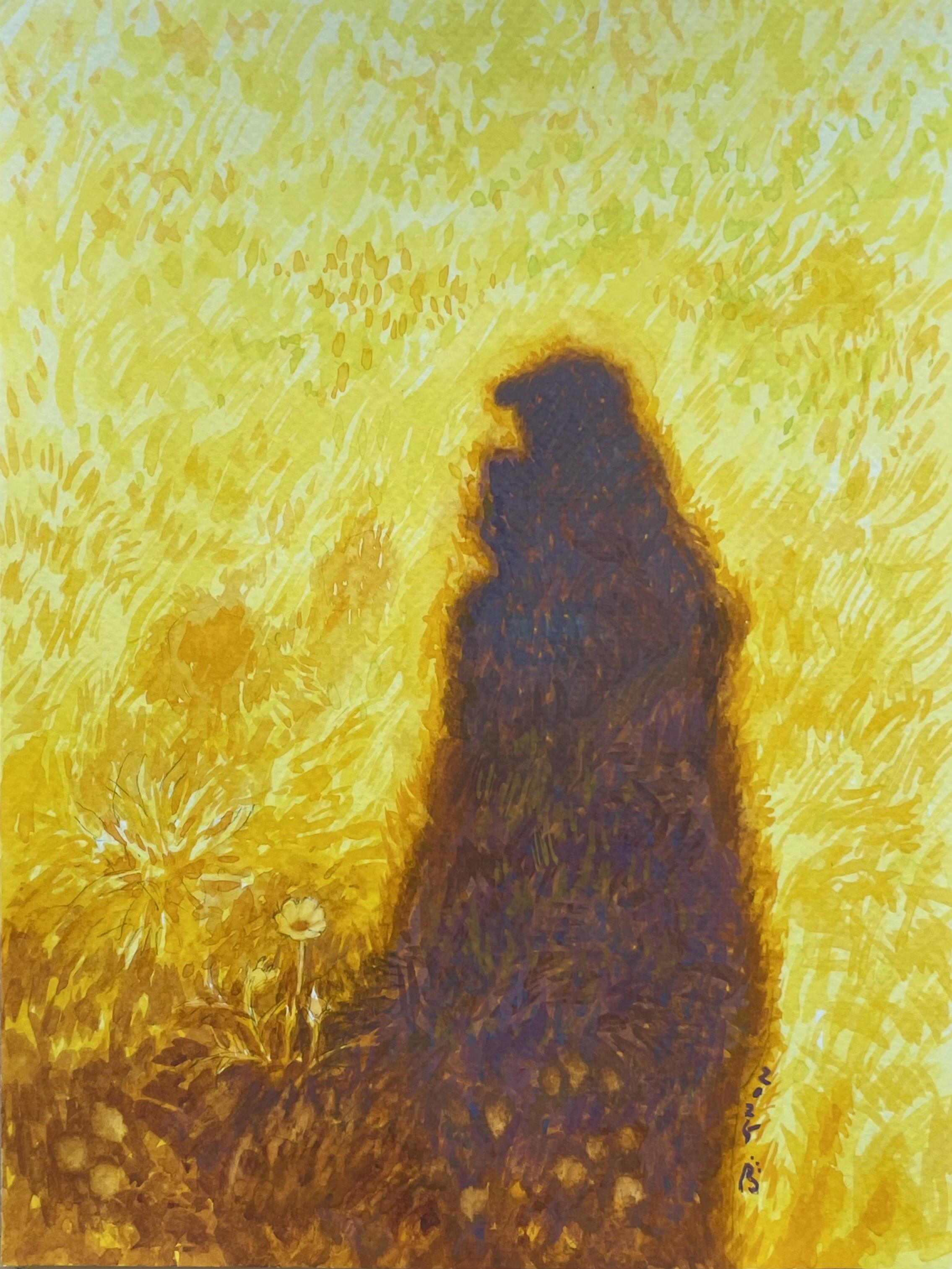 그림자빛 시리즈_옐로우