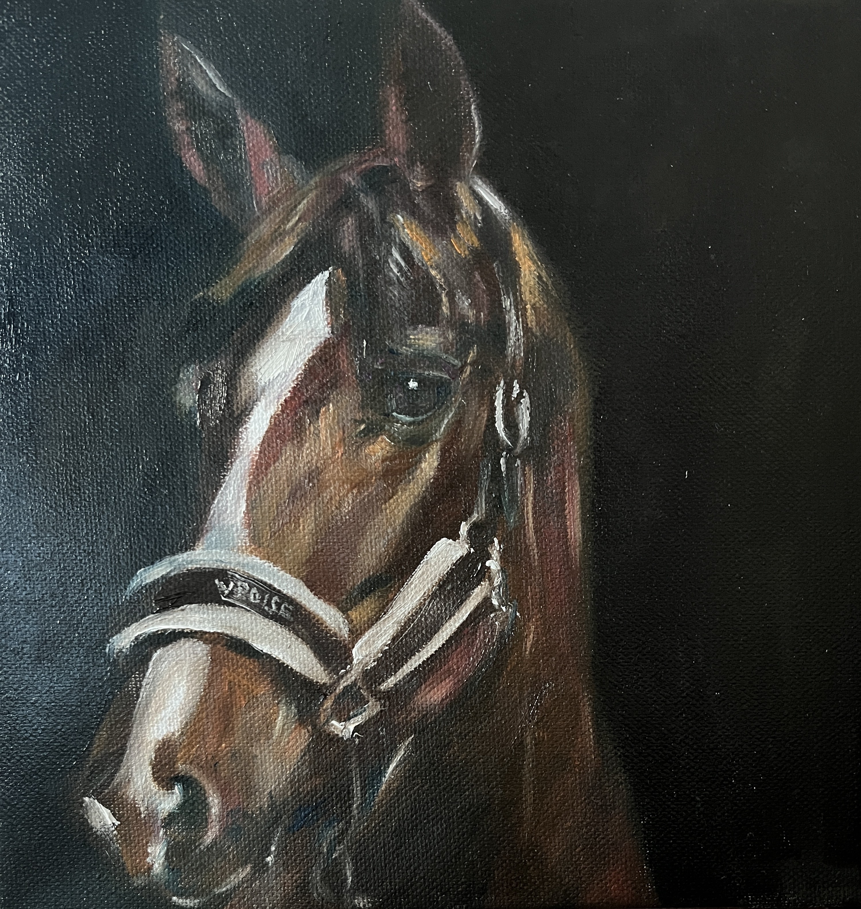 V : POISE (흔들리지 말고)